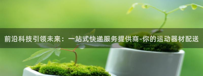 意昂体育4娱乐：前沿科技引领未来：一站式快递服务提供