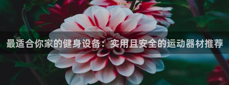 意昂体育4招商电话地址查询：最适合你家的健身设备：实