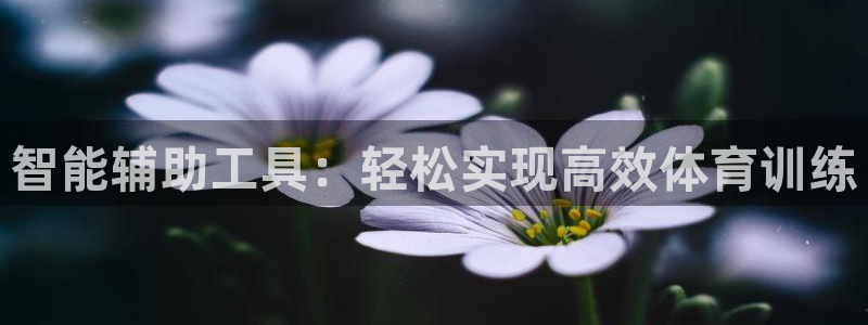意昂4五金厂：智能辅助工具：轻松实现高效体育训练