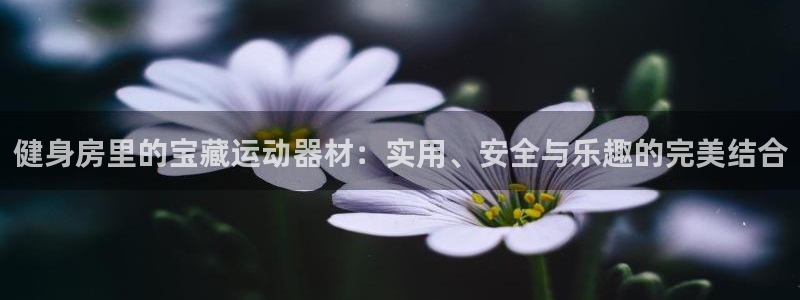 海南意昂体育4发展怎么样：健身房里的宝藏运动器材：实