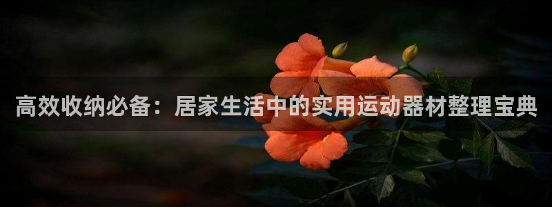意昂体育4官方客服电话：高效收纳必备：居家生活中的实