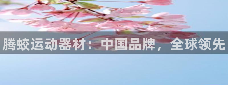 意昂体育4平台注册要钱吗安全吗：腾蛟运动器材：中国品牌，全球