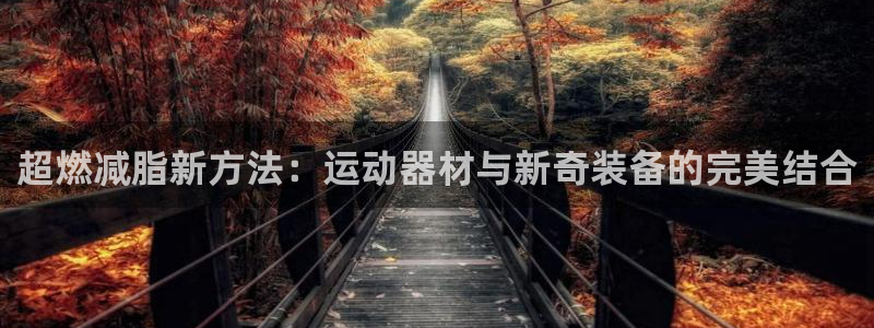 意昂体育4招商电话地址查询：超燃减脂新方法：运动器材与新奇装