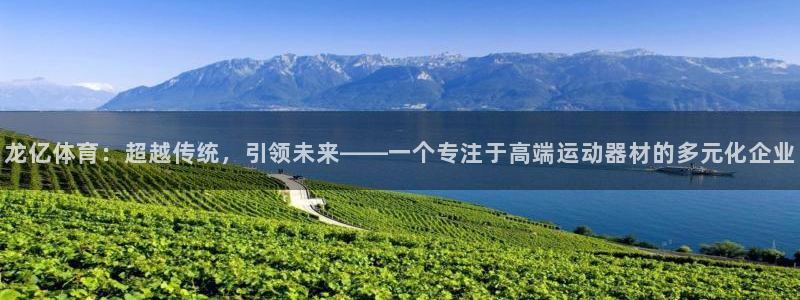 意昂体育4平台注册要钱吗：龙亿体育：超越传统，引领未来——一