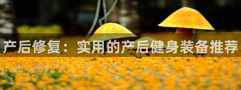 意昂体育4平台假的吗是真的吗