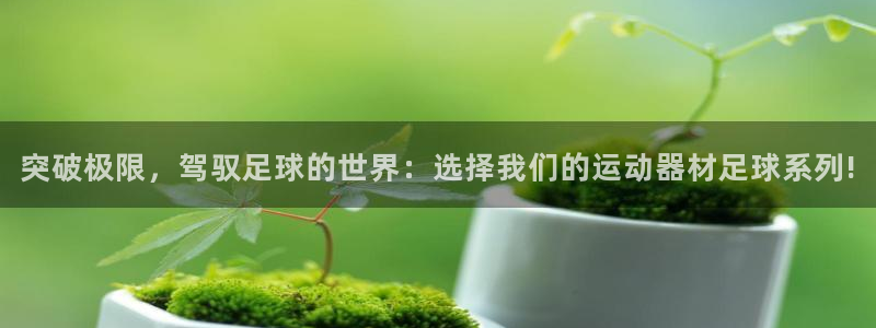 意昂体育4平台是正规平台吗安全吗