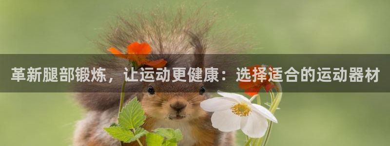 意昂4娱乐下载：革新腿部锻炼，让运动更健康：选择适合